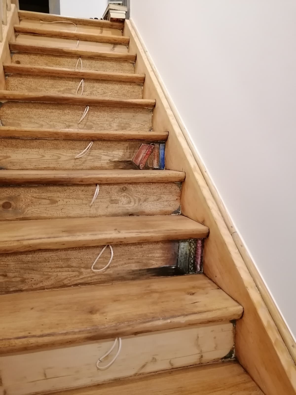 whatsapp image 2026 04 09 at 08.51.52 1.jpeg